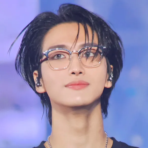 Idol_Top_Banner