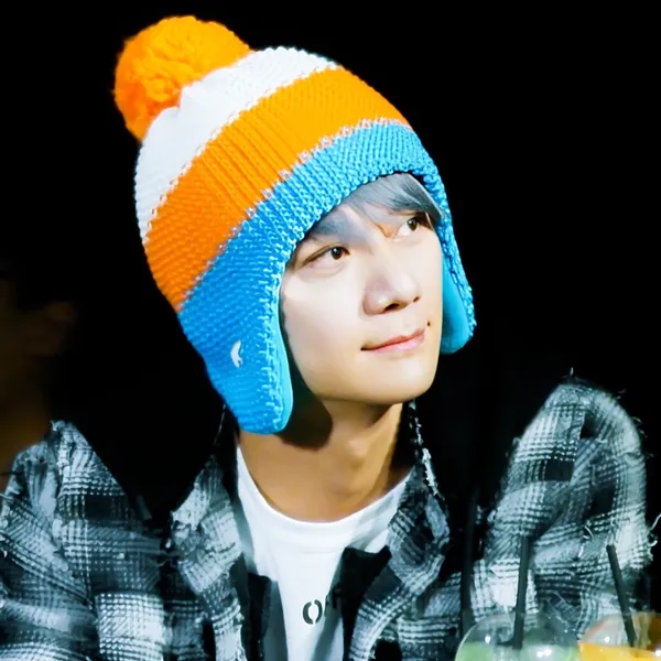 Idol_Top_Banner