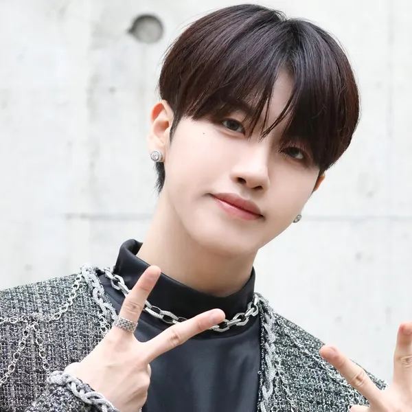Idol_Top_Banner