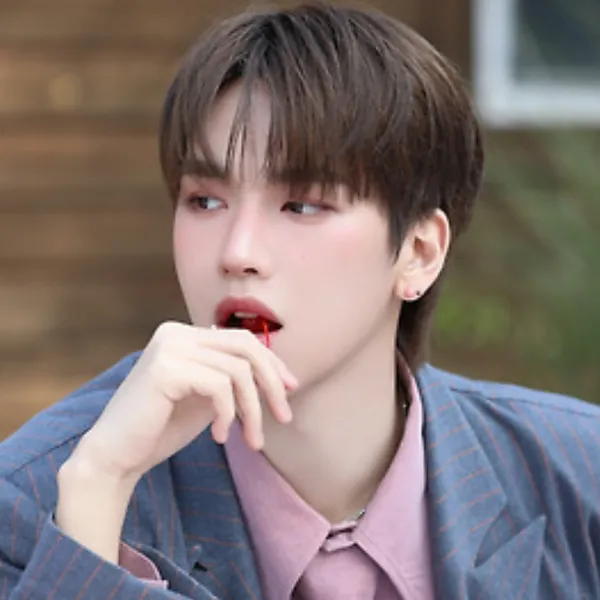 Idol_Top_Banner