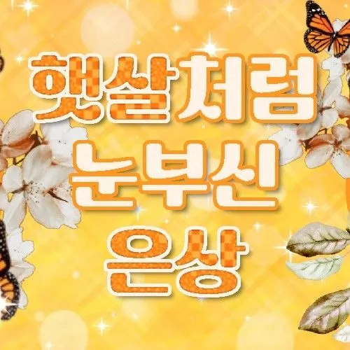 Idol_Top_Banner