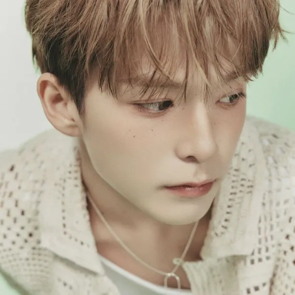 Idol_Top_Banner