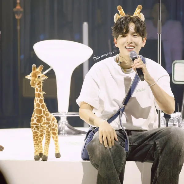 Idol_Top_Banner