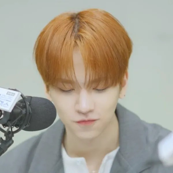 Idol_Top_Banner