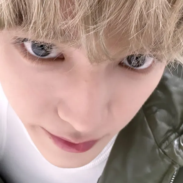 Idol_Top_Banner