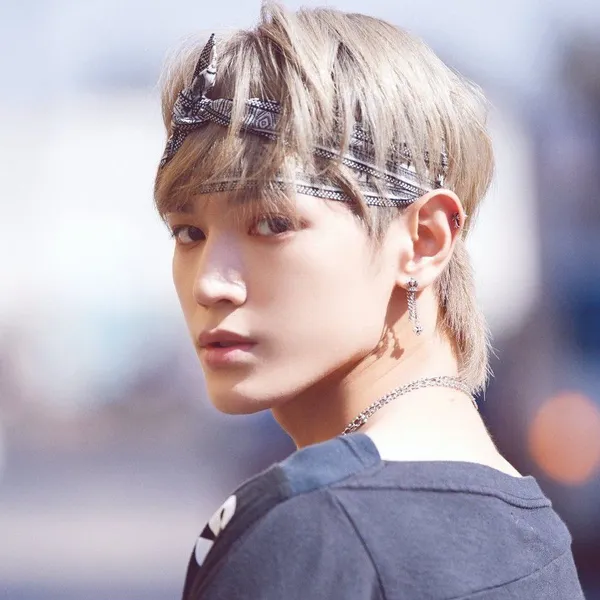 Idol_Top_Banner