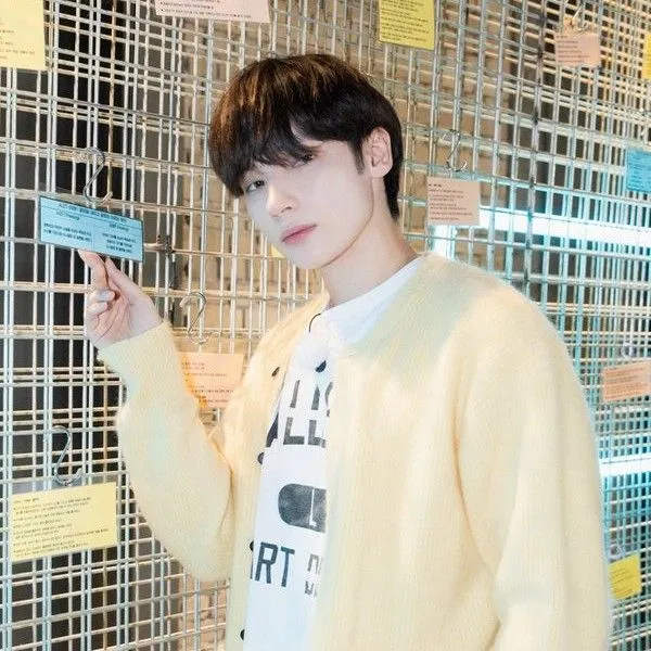 Idol_Top_Banner
