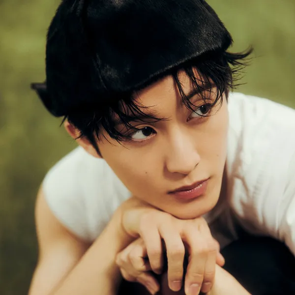 Idol_Top_Banner