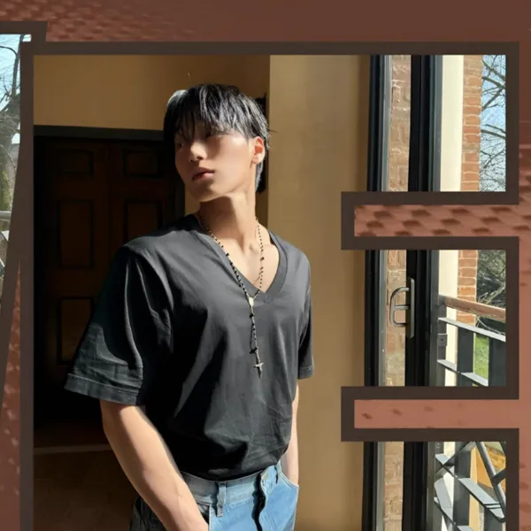 Idol_Top_Banner