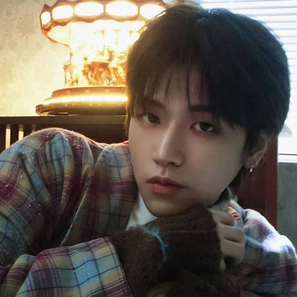 Idol_Top_Banner