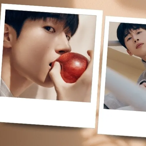 Idol_Top_Banner