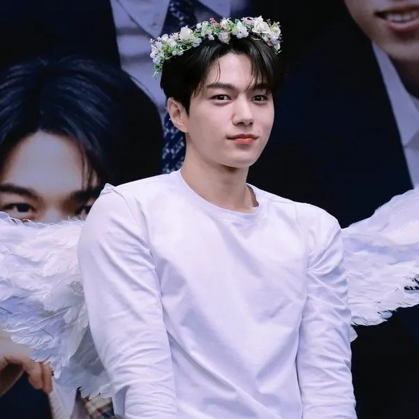 Idol_Top_Banner