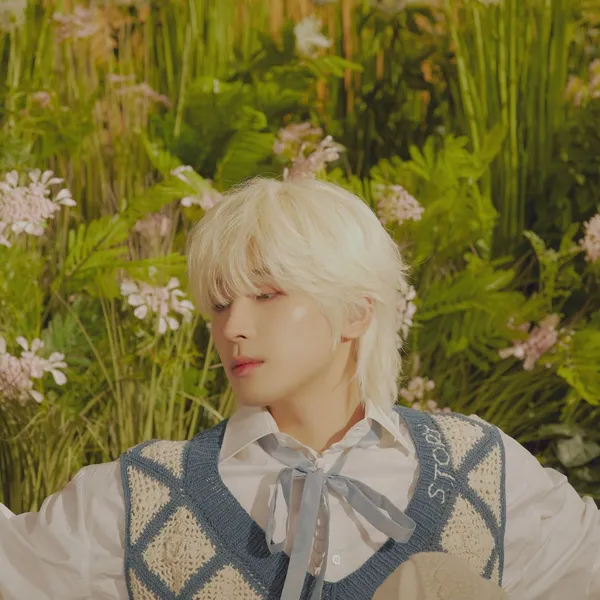 Today's Most Loved Wonwoo (SEVENTEEN)