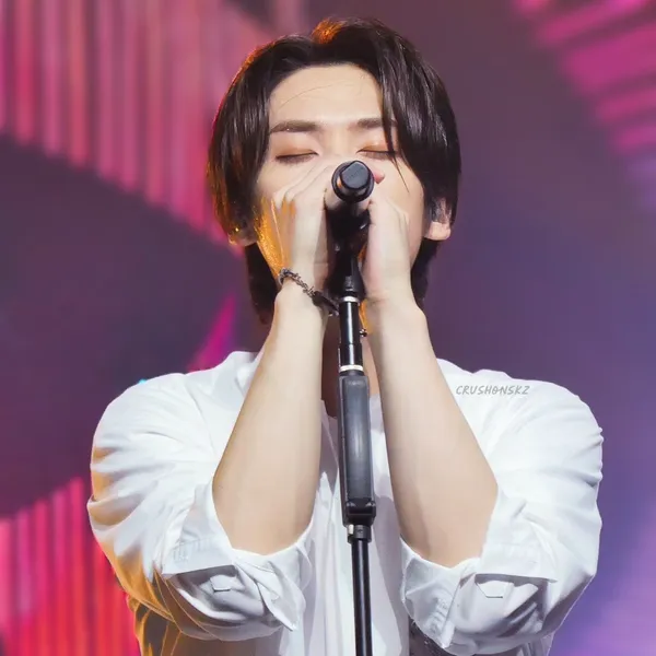 Idol_Top_Banner