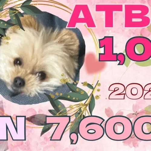Today's Most Loved Won Bin (ATBO)