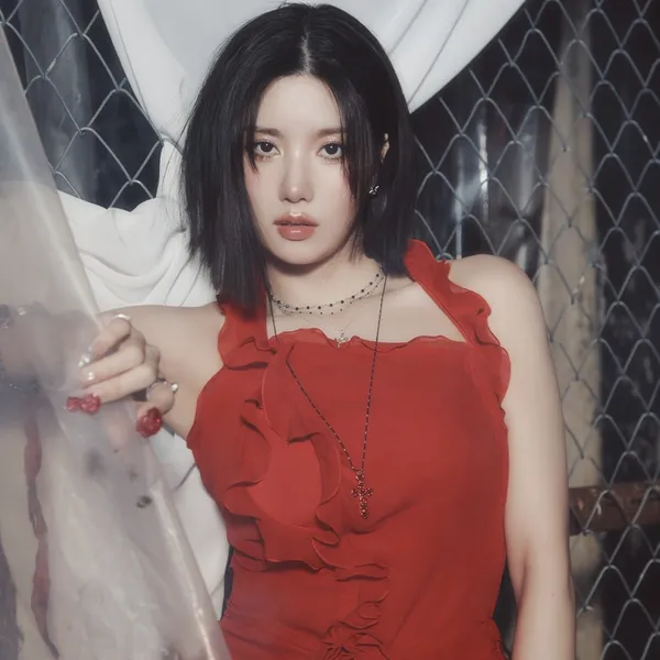 Idol_Top_Banner