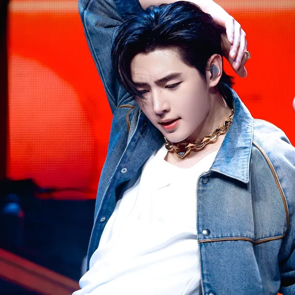 Idol_Top_Banner