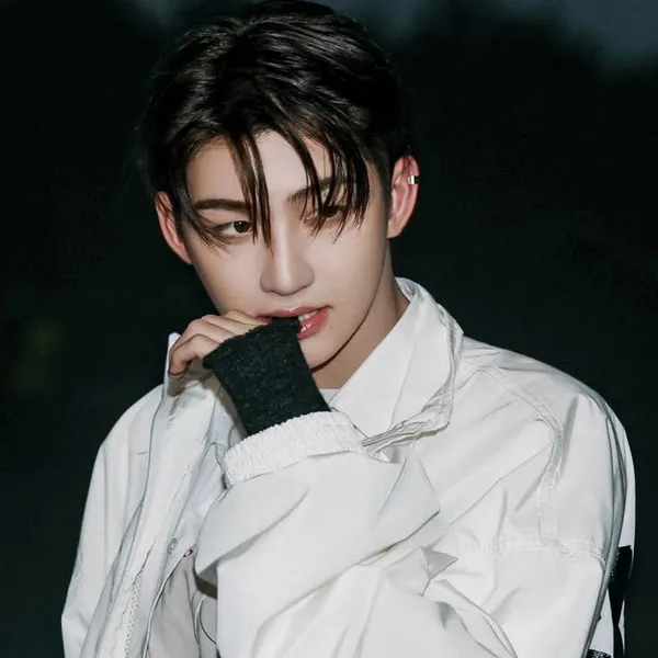Idol_Top_Banner
