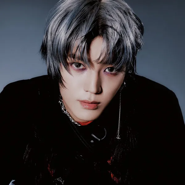 Idol_Top_Banner