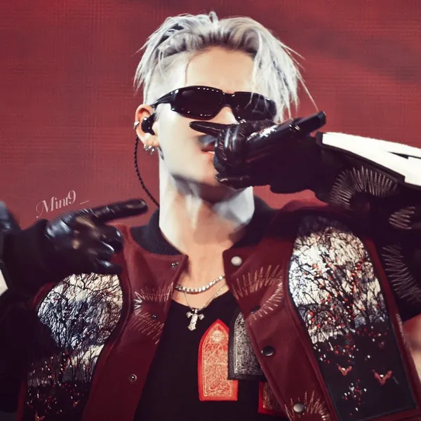 Idol_Top_Banner