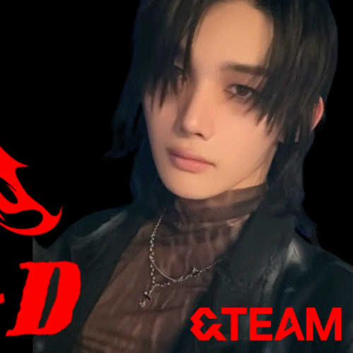 Idol_Top_Banner
