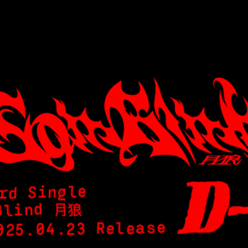Idol_Top_Banner