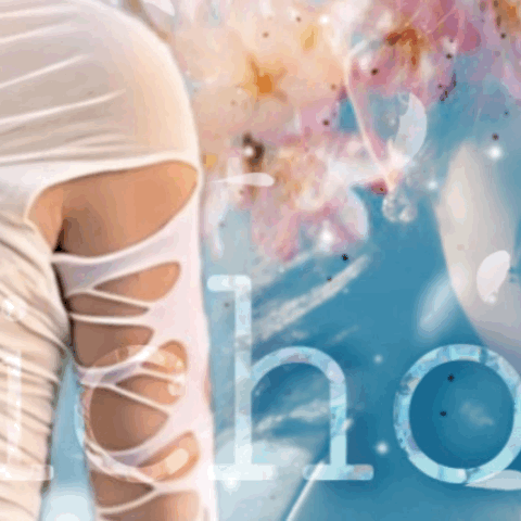Idol_Top_Banner