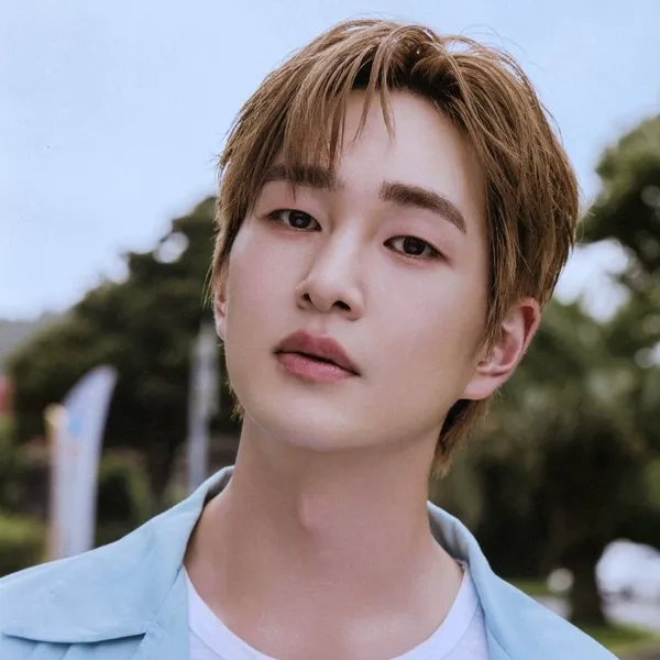 Idol_Top_Banner