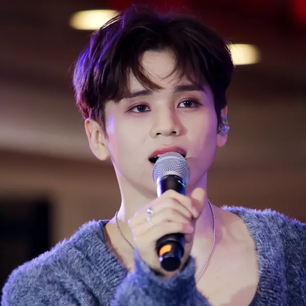 Idol_Top_Banner