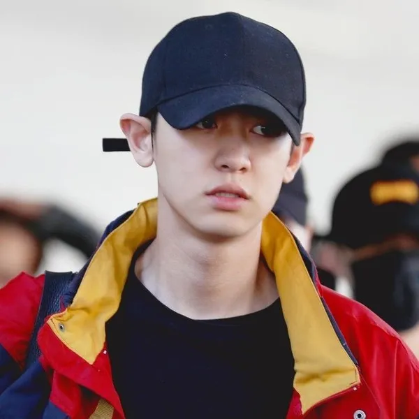 Idol_Top_Banner