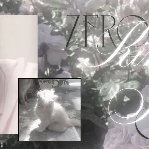 Idol_Top_Banner