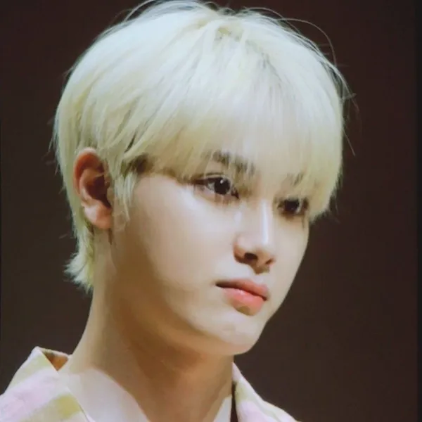 Idol_Top_Banner