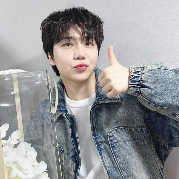 Idol_Top_Banner