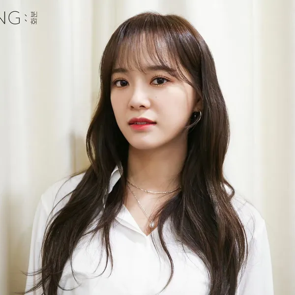 Idol_Top_Banner