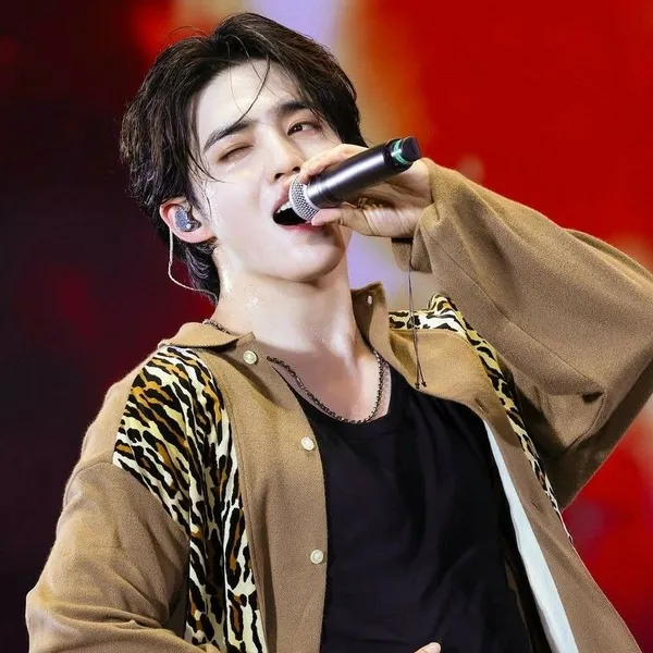 Idol_Top_Banner