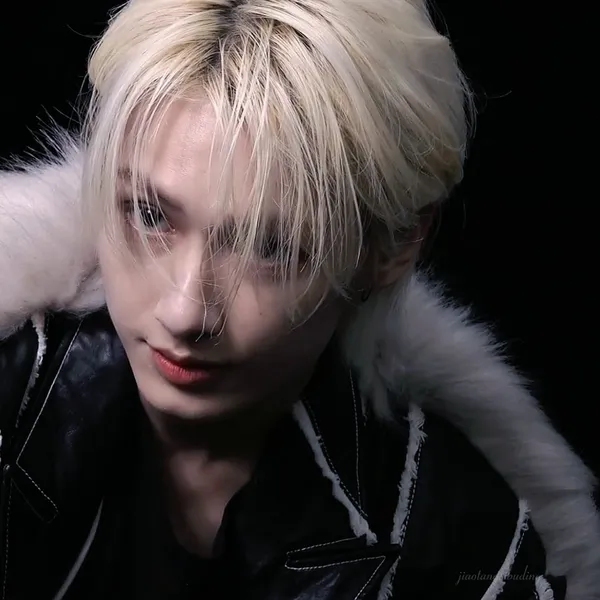Idol_Top_Banner