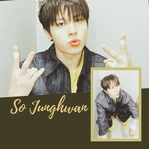 Idol_Top_Banner