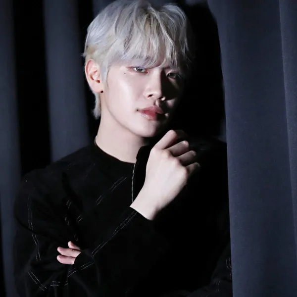 Idol_Top_Banner