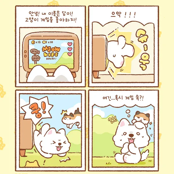 Fans' Pick: Best Moment of Kang Daniel