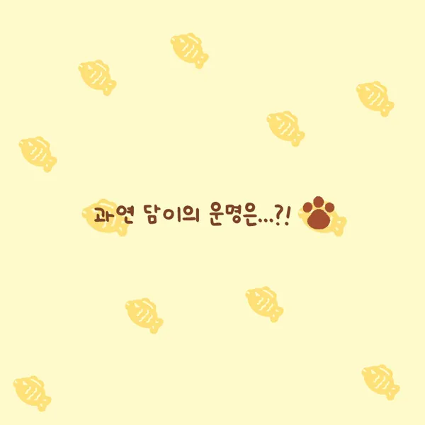 Fans' Pick: Best Moment of Kang Daniel