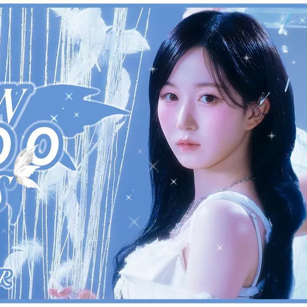 Idol_Top_Banner
