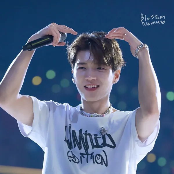 Idol_Top_Banner