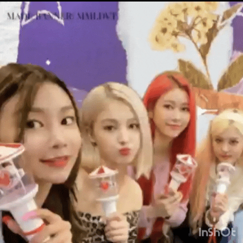 Foto Populer Penuh Cinta untuk MOMOLAND