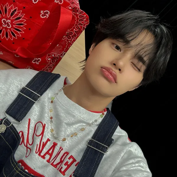 Idol_Top_Banner