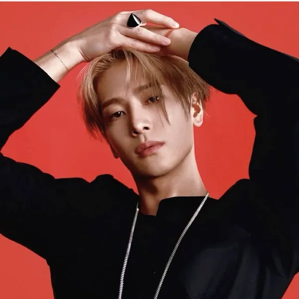 Idol_Top_Banner