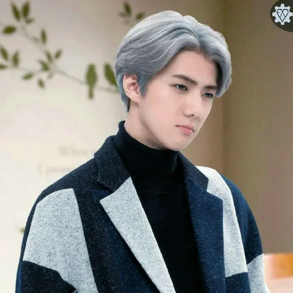Idol_Top_Banner