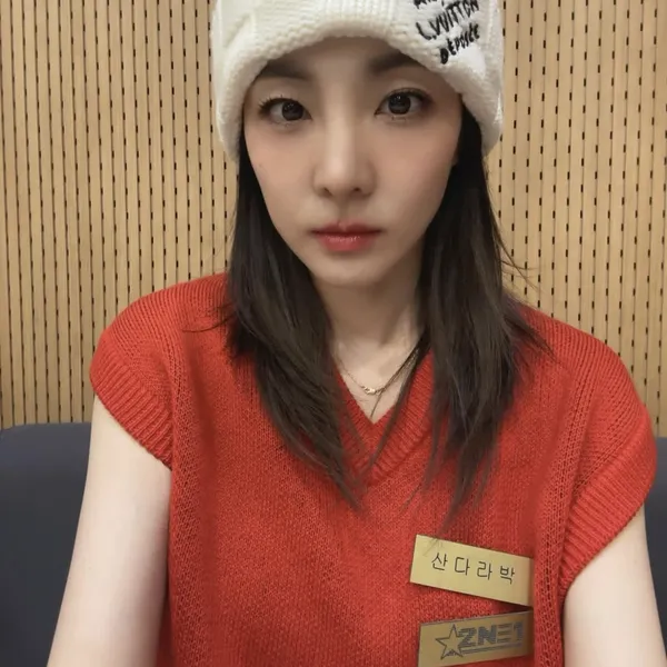 Top Photo Full of Sandara Park (2NE1) Love