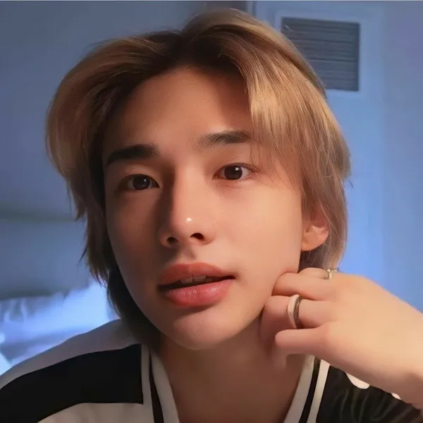 充满粉丝爱意的铉辰 (Stray Kids)人气照片