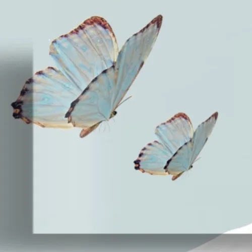 rankingBanner