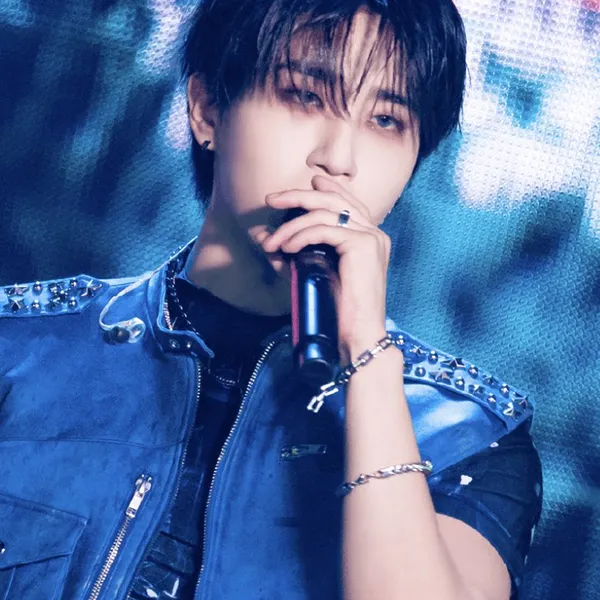 充滿粉絲愛意的HAN (Stray Kids)人氣照片